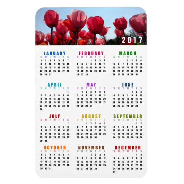Imán 2017 Calendar Magnet - Peach Tulips Garden (Vertical)