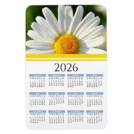 Imán 2026 Bright Shasta Daisy Floral Calendar Magnet