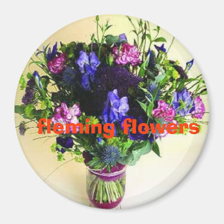 Imán 20 oct de la casa 095, fleming fl...