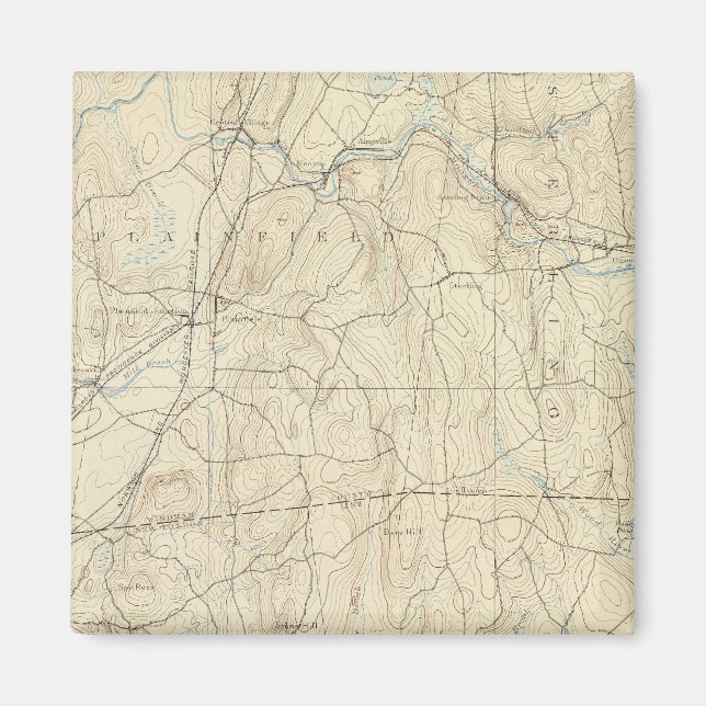 Imán 22 Hoja de Moosup (Frente)