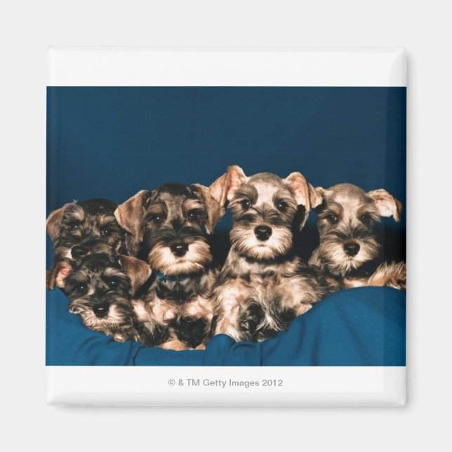 IMÁN 24117057 (Frente)