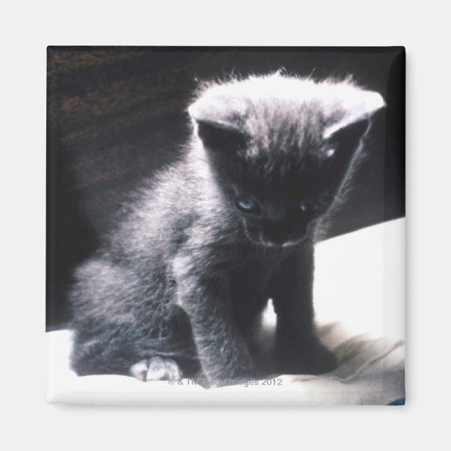 IMÁN 24117556 (Frente)