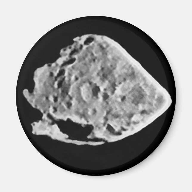 Imán 2867 Steins (VC de 1969) (Frente)