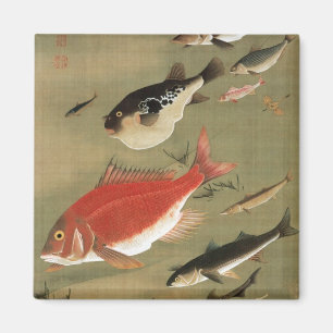 Imán 28. 群 図 魚, 若 冲 varios pescados, Jakuchū, Arte Japo