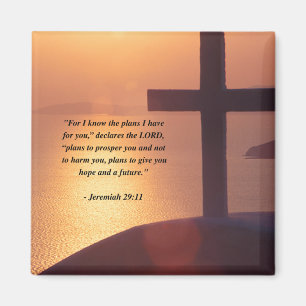 Imán 29:11 de JEREMIAH