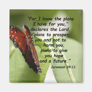 Imán 29:11 de Jeremiah (2)