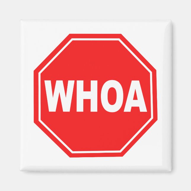 Imán 2.º ballesta (Frente)