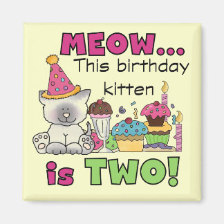 Imán 2.º gatito de cumpleaños camisetas y regalos
