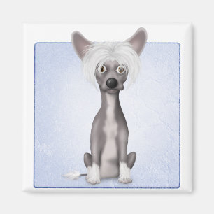 Imán 2 con cresta chinos