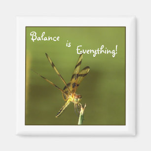 Imán 2 de la balanza de la libélula