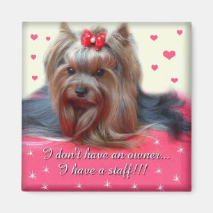 Imán 2 de Yorkie