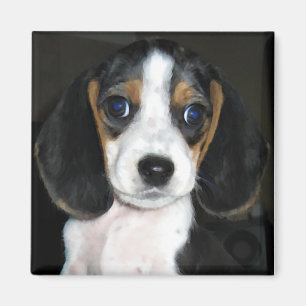 Imán 2 del beagle