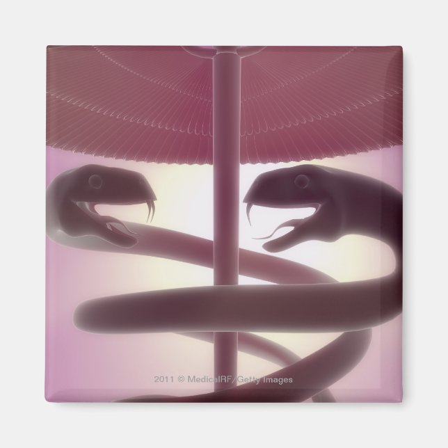 Imán 3.ᵉʳ caduceus (Frente)