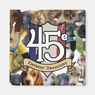 Imán 45 e mascotas en tu frigorífico