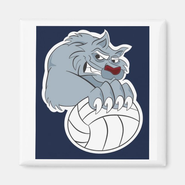 Imán 49 años | Calamita (Frente)