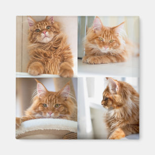 Imán 4 Cuatro Collages de fotos completos