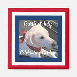Imán 4 de julio: Perro rojo blanco azul con bufanda