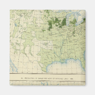 Imán 50 cebada 1890