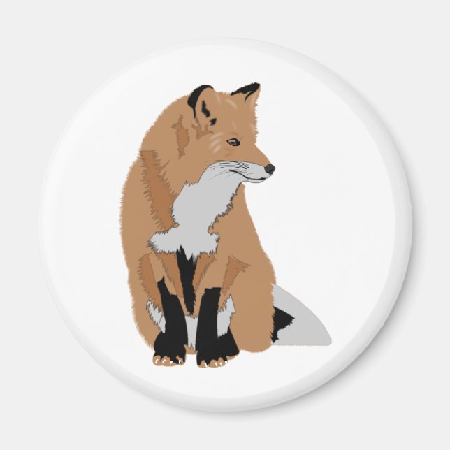 Imán 6.ª zorra (Frente)