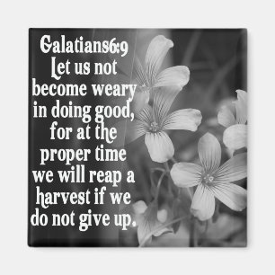 IMÁN 6:9 DE LA ESCRITURA GALATIANS DE LA BIBLIA