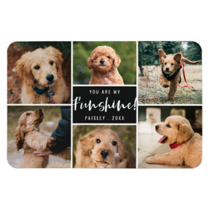 Imán 6 Collage de fotos Eres Mi Fantasma   Mascota negr