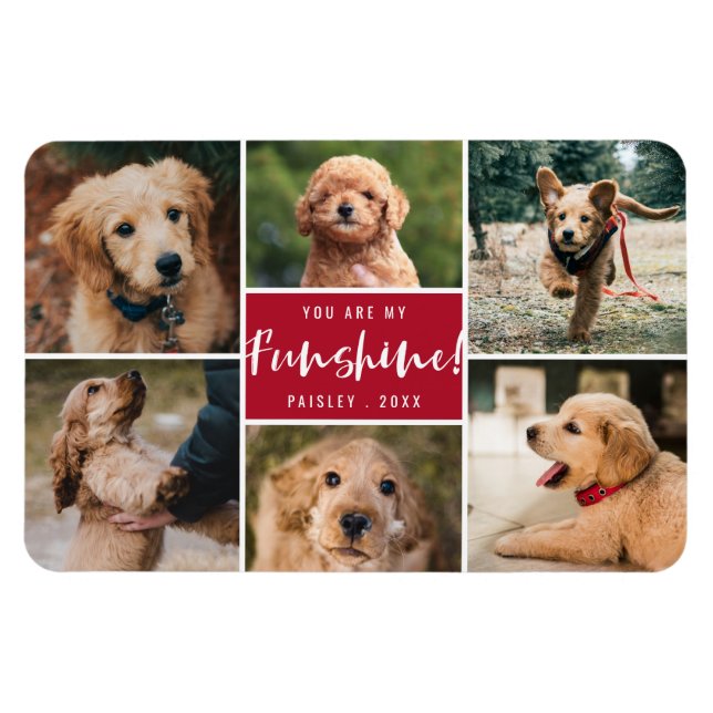 Imán 6 Collage de fotos Eres Mi Fantasma | Mascota rojo (Horizontal)