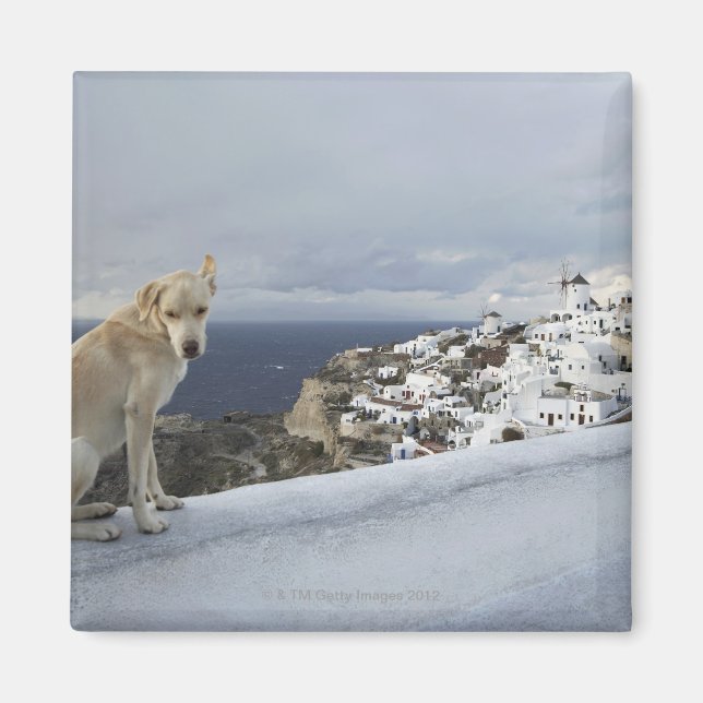 Imán 6 de noviembre (Frente)