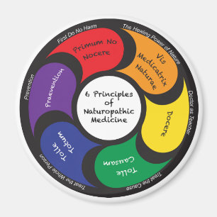 Imán - 6 principios de medicina de Naturopathic