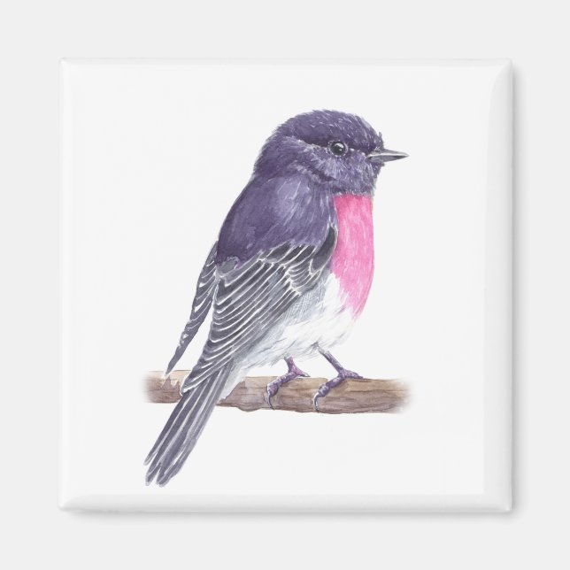 Imán 7.º burra (Frente)