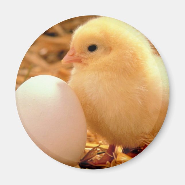 Imán 7.º morada (Frente)