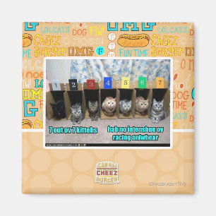 Imán 7 hacia fuera kittehs del ov 7