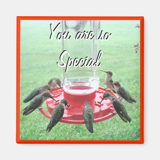 Imán 7 Hummingbirds - personalizar (Frente)