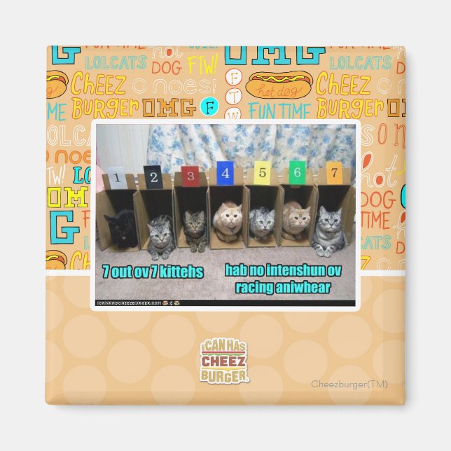 Imán 7 kittehs (Frente)