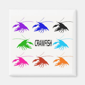 Imán 8 crawfish