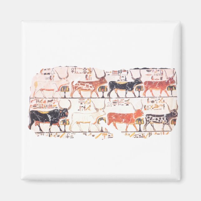 Imán 8 vacas (Frente)