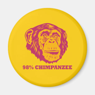 Imán 98% Chimpancé