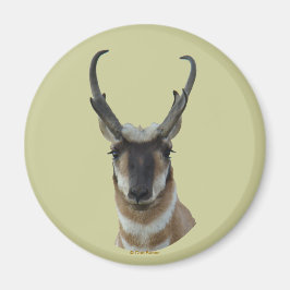 Imán A19 Pronghorn Antelope Dark Face Buck Head Shot