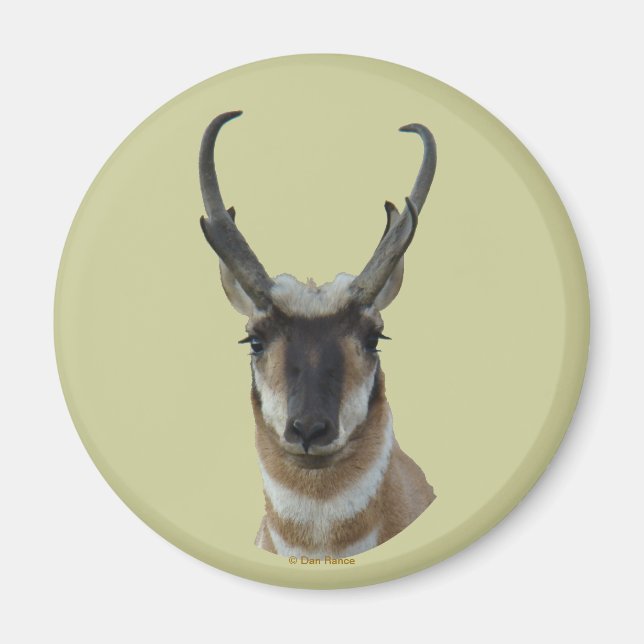 Imán A19 Pronghorn Antelope Dark Face Buck Head Shot (Frente)