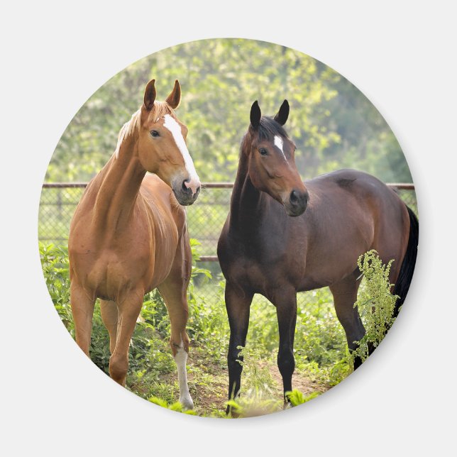 Imán A la atención (Frente)