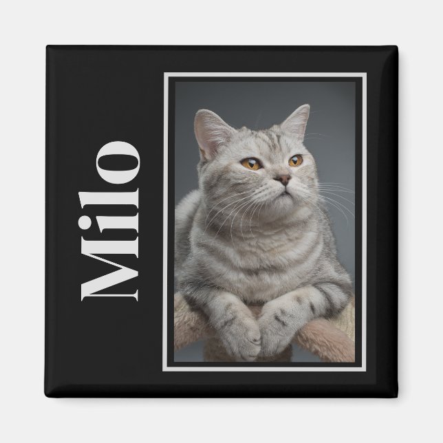 Imán A lo largo del puente arcoiris Mascota de plata me (Frente)