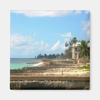 Imán A orillas del océano