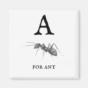 Imán "A" para hormiga