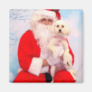 Imán A Santa le encantan los perros
