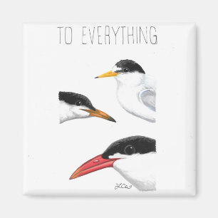 Imán A Todo Tern, Tern, Tern