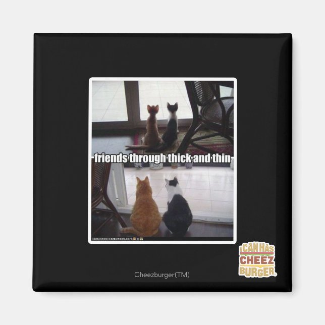 Imán A través de grueso y delgado (Frente)