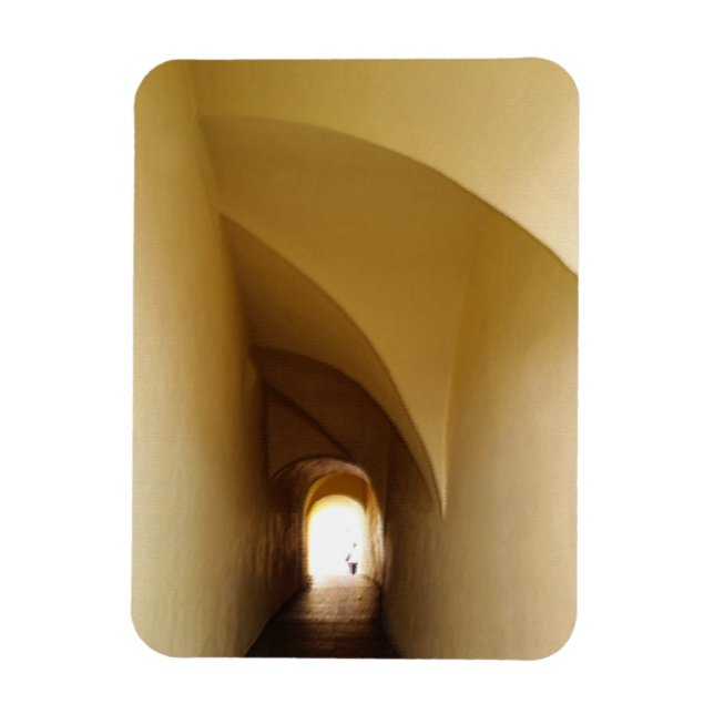 Imán a través del túnel (Vertical)