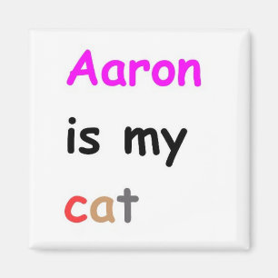 Imán Aaron es mi gato
