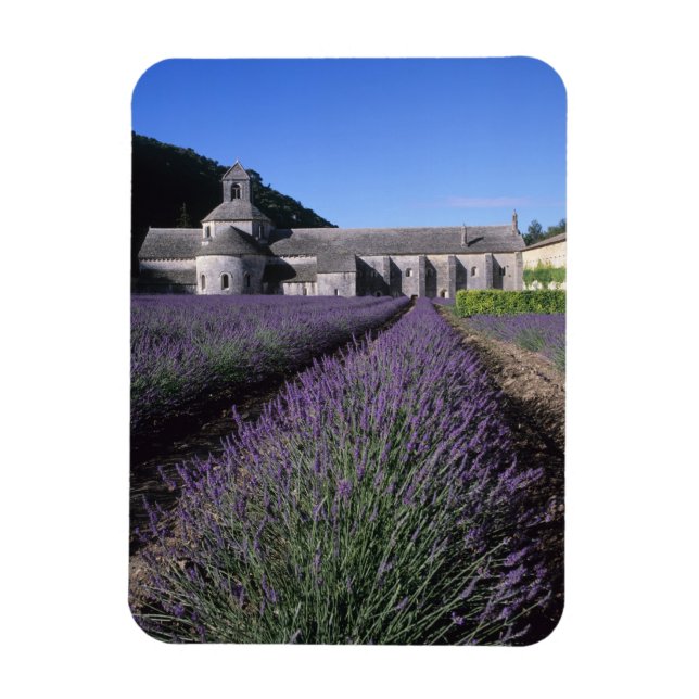 Imán Abadía de Senanque, Gordes, Vaucluse, Provenza, (Vertical)