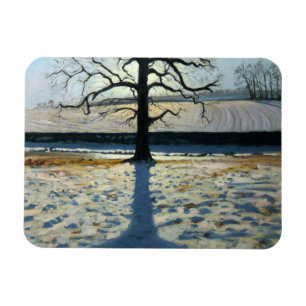 Imán Abadía de Tree and Shadow Calke Derbyshire