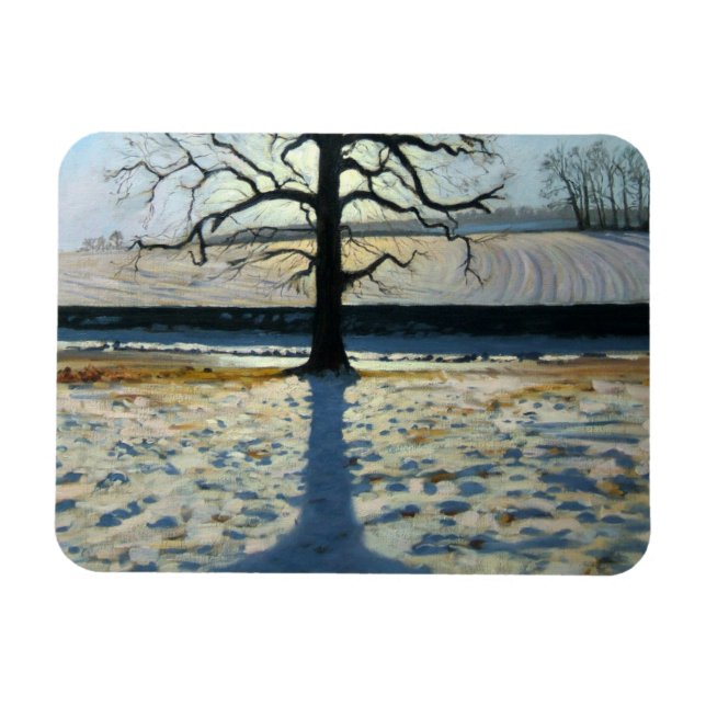 Imán Abadía de Tree and Shadow Calke Derbyshire (Horizontal)